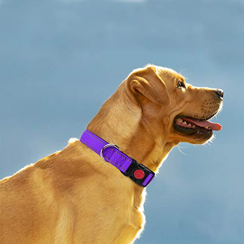 Taglory Collar Perro, Collar Nylon Reflectante Neopreno Forrado Ajustable para Perros Medianos, Morado