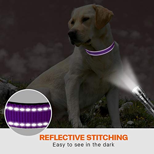 Taglory Collar Perro, Collar Nylon Reflectante Neopreno Forrado Ajustable para Perros Medianos, Morado