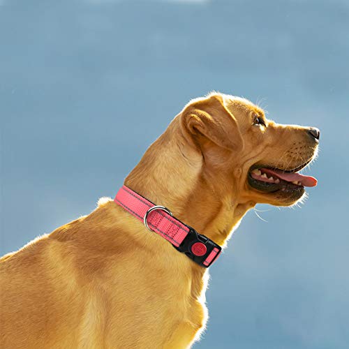 Taglory Collar Perro, Collar Nylon Reflectante Neopreno Forrado Ajustable para Perros Medianos, Rosa