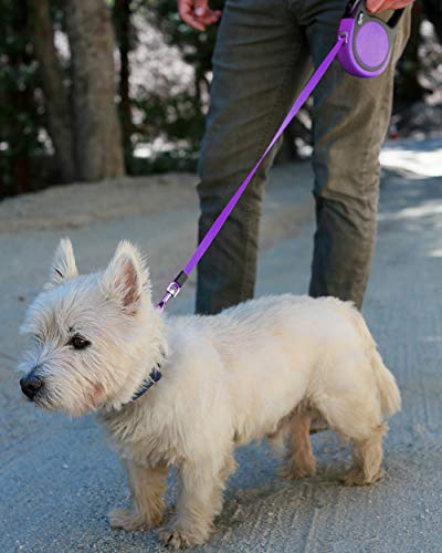 Taglory Correa Extensible Perro medianos y pequeño, Cuerda para Perros retractil, Nylon Fuerte Adecuado para Perros de hasta 20 kg, sin enredo y manija Antideslizante (5m (16ft), Morado)