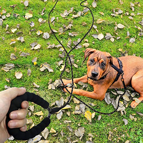 Taglory Correa Larga Perro, 10M Correa Adiestramiento Perro con Asa para Perros Pequeños Medianos y Grandes, Negro