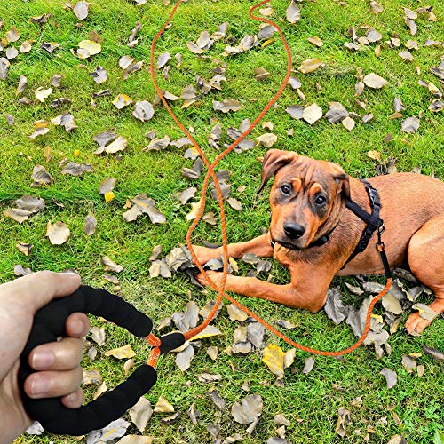 Taglory Correa Larga Perro, 20M Correa Adiestramiento Perro con Asa para Perros Pequeños Medianos y Grandes, Naranja