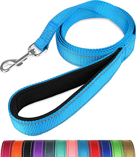 Taglory Correa Perro Reflectante, Mango Acolchado Suave y Gancho de Metal, Correas Adiestramiento para Perros Mediano Grandes, 1.8m x 2.5cm, Cielo Azul