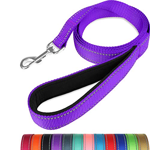 Taglory Correa Perro Reflectante, Mango Acolchado Suave y Gancho de Metal, Correas Adiestramiento para Perros Pequeño, 1.2m x 2.0cm, Morado