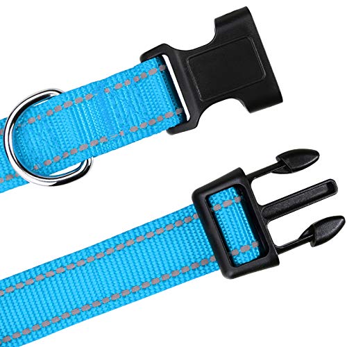 TagME Collar Perro Ajustable,Collar Nylon Reflectante,para Caminar Correr Entrenamiento,para Cachorro,Cielo Azul,1.0cm De Ancho