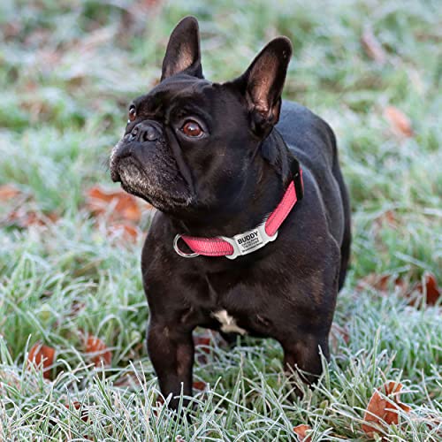 TagME Collar Perro Ajustable,Collar Nylon Reflectante,para Caminar Correr Entrenamiento,para Perros Extrapequeños,Rosa,1.5cm De Ancho