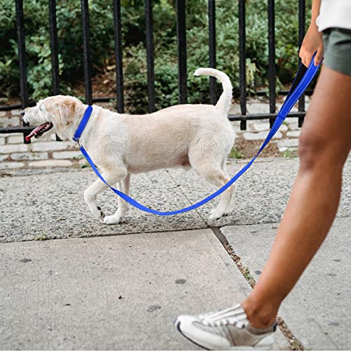 TagME Collar Perro Ajustable,Collar Nylon Reflectante,para Caminar Correr Entrenamiento,para Perros Medianos,Azul Marino,2.5cm De Ancho