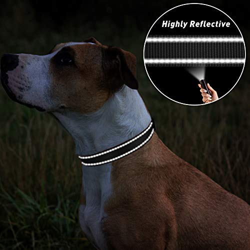 TagME Collar Perro Ajustable,Collar Nylon Reflectante,para Caminar Correr Entrenamiento,para Perros Medianos,Negro,2.5cm De Ancho