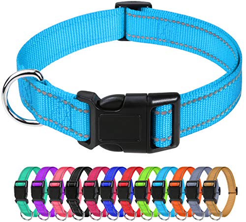 TagME Collar Perro Ajustable,Collar Nylon Reflectante,para Caminar Correr Entrenamiento,para Perros Pequeños,Cielo Azul,1.5cm De Ancho