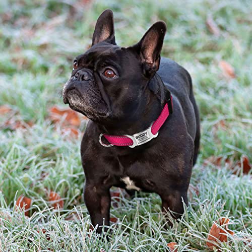 TagME Collar Perro Ajustable,Collar Nylon Reflectante,para Caminar Correr Entrenamiento,para Perros Pequeños,Rosa Caliente,1.5cm De Ancho