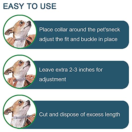 Tamaño Ajustable Collar Antiparasitos para Perro, Collar Antiparasitos para Gatos/Perro, protección Impermeable Mejor Collar, no tóxico, Mosquitos y garrapatas, Control de pulgas, 8 Meses