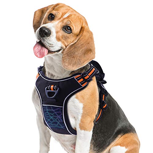 TAMOWA Arnes Perro Ajustable Grande Mediano Arnés Pecho Antitirones Perros Coche Cómodo Transpirable y con Lineas Reflectantes, Arnés para Perro para Caminar Entrenamiento (Naranja, XL)