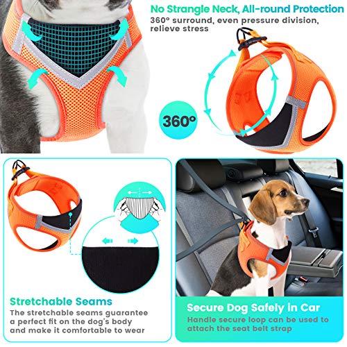 TAMOWA Arnes Perro Pequeños, Reflectante Ajustable de Arnés Antitirones Suave Acolchado Cómodo Tejido de Malla Transpirable Arnés Chaleco para Cachorros Perros Pequeños Mediano, XS, Naranja