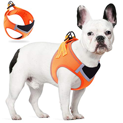 TAMOWA Arnes Perro Pequeños, Reflectante Ajustable de Arnés Antitirones Suave Acolchado Cómodo Tejido de Malla Transpirable Arnés Chaleco para Cachorros Perros Pequeños Mediano, XS, Naranja