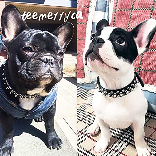 TEEMERRYCA Collar de Cuero con Pinchos para Perros pequeños, medianos y Grandes(Black-M)