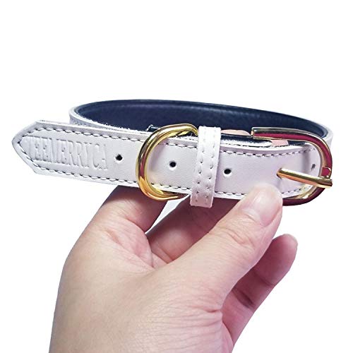 teemerryca Collar de piel para perro pequeño, resistente y suave, collar para cachorro, color blanco, collares ajustables para perros pequeños de 27 a 33 cm