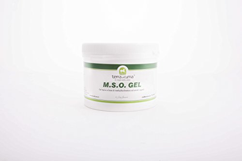 Terra di Cuma Le Origini della Salute Gel MSO | MSM para Caballos (500g)