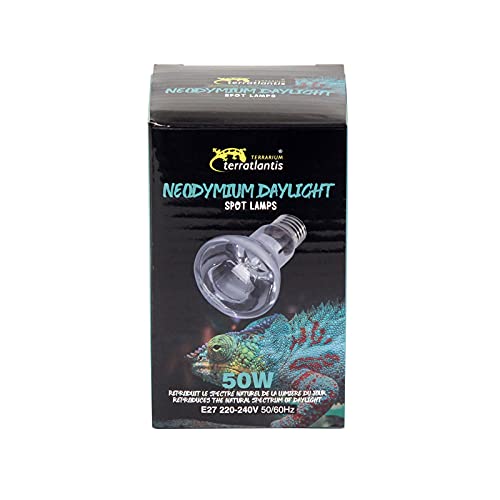 TERRATLANTIS Neodimio Daylight - Foco (50 W)