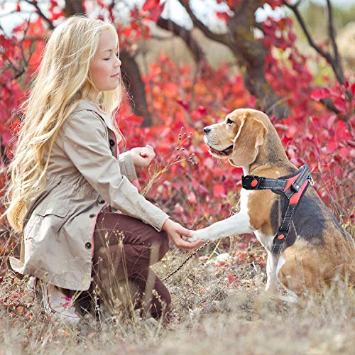 TERRES D'EDEN Arnes Perro Pequeño, Arnés Perro, Arneses para Perros, Correa Perro y Perros Accessorios, Tamaño Ideal para Bulldog Frances, Chihuahua, Yorkshire (M, Rojo)