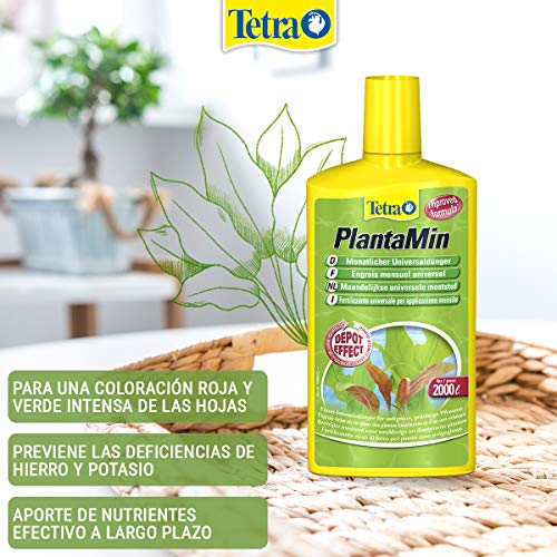 Tetra PlantaMin 5 L - Fertilizante rico en hierro para unas plantas exuberantes y de un verde intenso