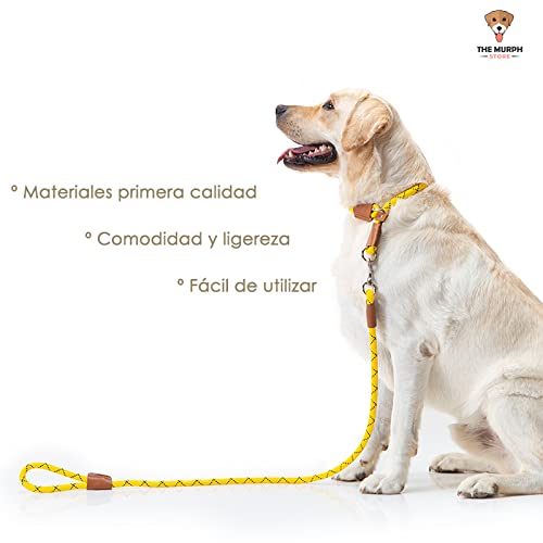 THE MURPH STORE- Set de Correa y Collar para Perro, Correa adiestramiento, Correa Perro, Collar Perro y Correa Anti tirones (L/XL 58CM, Arena)