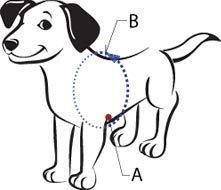 The Original Sense-ation - Arnés de Entrenamiento para Perro (pequeño, sin Tirar)