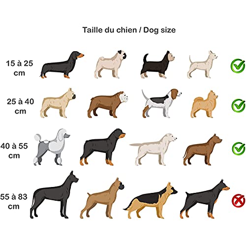 THILIFE-Juguete Masticable para Perros Indestructible | Dispensador de Comida Estilo Original | Pelota para Aliviar el Estrés del Perro | Apto para Lavavajillas | Juego de Inteligencia para Perros