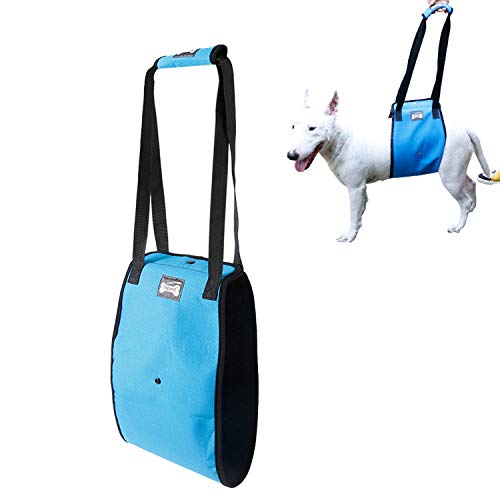 Tineer Arnés para Levantar Perros para Perros de Edad Avanzada o discapacitados - Soporte Sling Ayuda Posterior Piernas débiles Levántese, camine, suba escaleras (XL, Azul)