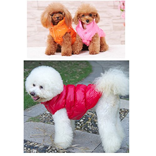 Tineer Invierno Chaleco Acolchado Abrigo Sudaderas con Capucha Perro Gato Cachorro Mascota Clima frío Abrigos Chaqueta pequeña Mascota (Pecho M: 16-16,9 Pulgadas, Rojo)