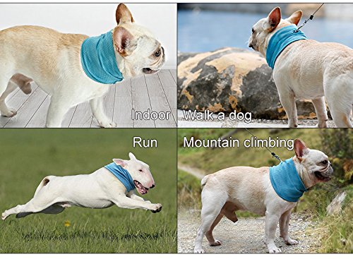 Tineer Pet Cooling Bandana Dog Cat Bufanda Transpirable Bulldog Summer Ice Enfriamiento instantáneo Toalla Envoltura de Cuello Collares para Cachorros Gatitos (Paquete de 2) (L (55 * 16cm))