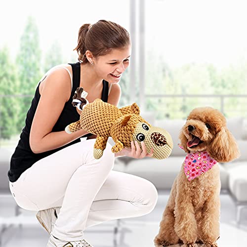 TINGERIA ® Juguete de peluche para perros chirriantes para el aburrimiento, juguetes interactivos fuertes para cachorros pequeños y medianos y grandes