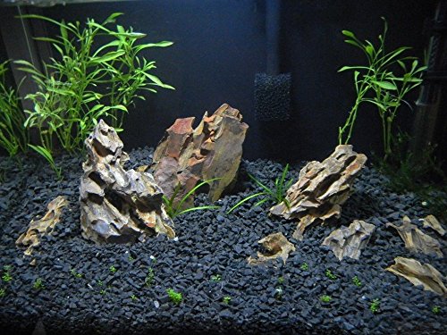 TM Aquatix Decoración de acuario de piedra de dragón pecera, adorno natural 15 kg