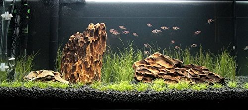 TM Aquatix Decoración de acuario de piedra de dragón pecera, adorno natural 15 kg