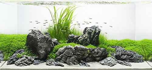 TM Aquatix - Piedra de acuario para peces, decoración natural, piezas de primera calidad