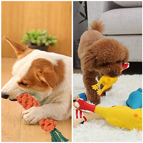 TOPSEAS Juguetes para Perros,12 Piezas Juego de Juguetes para Perros,Cuerda para Masticar,Frisbee,Juguete de Peluche,para Perrito Pequeño Medio Solitario para Mantener a su Perro Sano