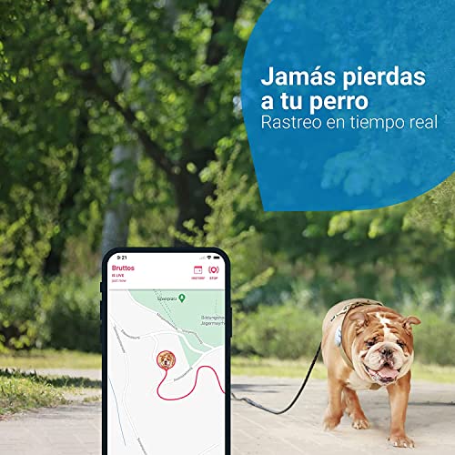 Tractive GPS DOG 4. Conoce siempre la ubicación de tu perro. Manténlo en forma con el Seguimiento de Actividad. Distancia ilimitada. (Blanco)