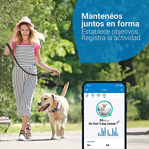 Tractive GPS DOG 4. Conoce siempre la ubicación de tu perro. Manténlo en forma con el Seguimiento de Actividad. Distancia ilimitada. (Blanco)