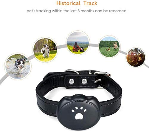 Tractive Localizador GPS para Pet con Seguimiento de Actividad, Anti Lost Tracking Localizador enTiempo Real Collar para Perros Training GPS en Tiempo Real