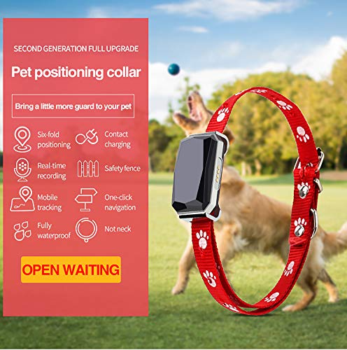 Tractive Localizador GPS para Pet con Seguimiento de Actividad, Anti Lost Tracking Localizador enTiempo Real Collar para Perros Training GPS en Tiempo Real-Bianca