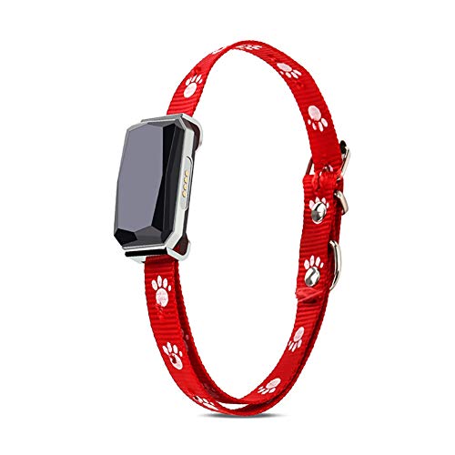 Tractive Localizador GPS para Pet con Seguimiento de Actividad, Anti Lost Tracking Localizador enTiempo Real Collar para Perros Training GPS en Tiempo Real-Bianca