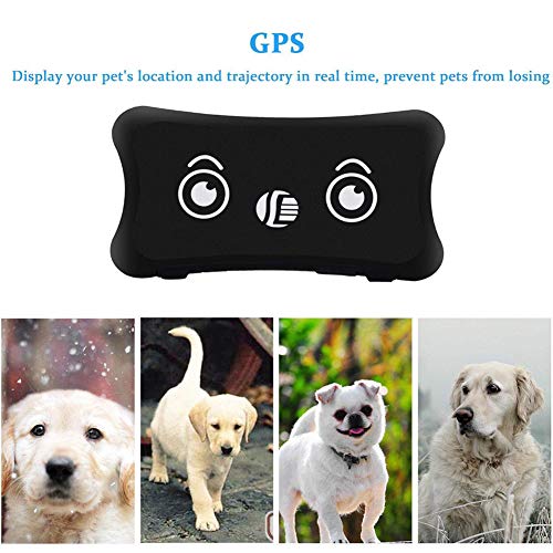 Tractive Localizador GPS para Pet con Seguimiento de Actividad, Anti Lost Tracking Localizador enTiempo Real Collar para Perros Training GPS en Tiempo Real