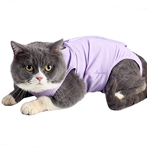 Traje de recuperación para gatos con anti lamida para heridas quirúrgicas abdominales Ropa para mascotas en casa blanda Cuello en E Alternativa para gatos Perros después de la cirugía Desgaste