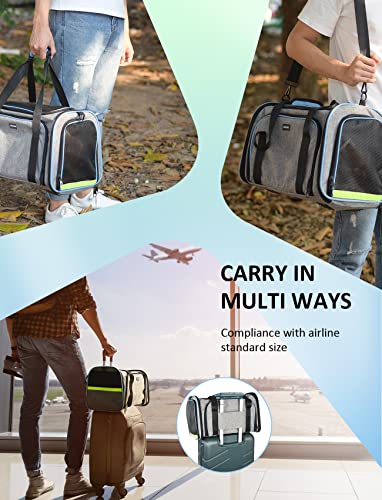 Transportín Plegable para Perros y Gatos, Bolsa de Transporte portátil, Bolsa de Transporte para Perros, Bolsa de Transporte para Perros, Bolsa de avión, autorizada para aeronaves