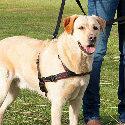 TRIXIE Arnés Guía Lead'n'Walk Soft para Perros