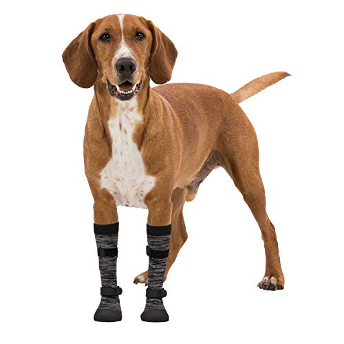 TRIXIE Botas Protectoras Walker Socks para Perros