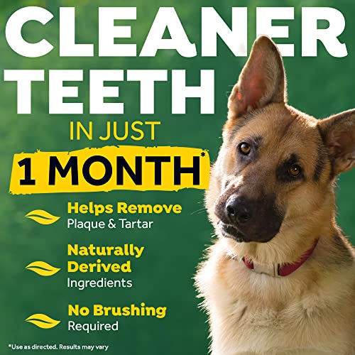 TROPICLEAN Fresh Breath by Gel de Cuidado Bucal para Perros, Mascotas, Gatos - Sin Cepillado - Ayuda a Eliminar la Placa, el Sarro y la Enfermedad Gingival - Original - 59 ml