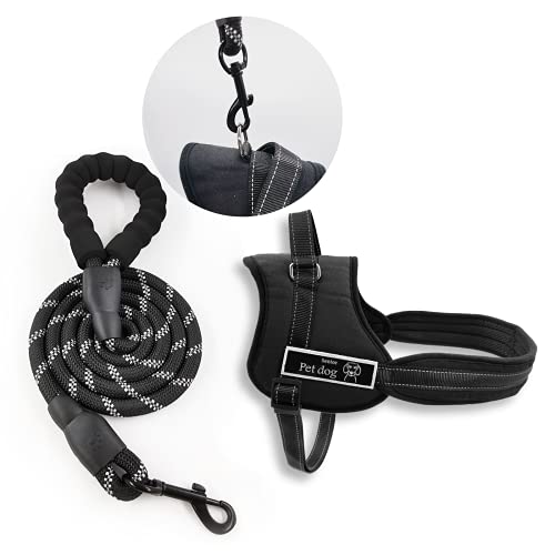 TUNAON Correas para Perros,Correa para Perros de 1.5M/5FT con Mango Suave y Cinta, Reflectante Alta, Adecuado para Perros Medianos y Grandes (M, Negro)