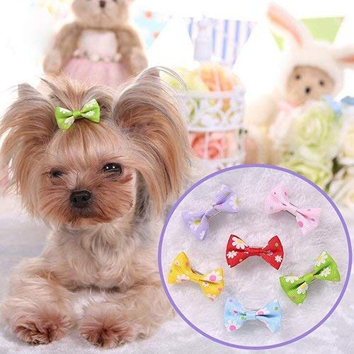 U-M 8 6 piezas de pinzas para el pelo para perros y gatos, pinzas de cocodrilo para el pelo, pajarita de flores y pajarita, accesorios para el cabello para cachorros, elegantes y populares