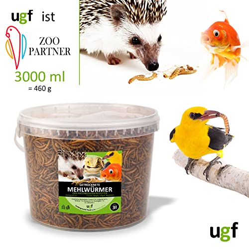 UGF - Gusanos de Harina Secos Premium Cubo de 3 litros, Comida para Pájaros Salvajes, Comida para Erizos, Comida para Ardillas, Comida para Patos. Gusanos de la Harina para Aves Silvestres