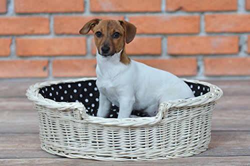 Un Almacenamiento de Mimbre para un perro/Un Gato con un cojín suave, un Tumbona para animales, rodamiento de gato/perro, de almacenamiento cama para perro/gato cama